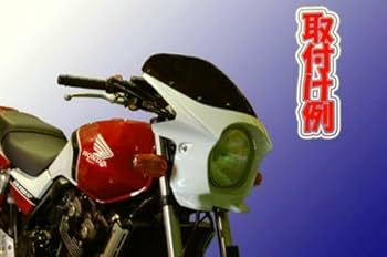 REN　ビキニカウル ワールドウォーク XJR1300 ビキニカウル [DS-01] タイプAERO